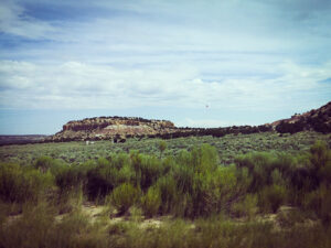 Photo taken near Counselor, NM