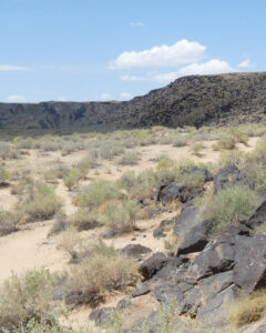 Photo of hills, rocks and dirt and the Petroglyph National Monument in Albuquerque.